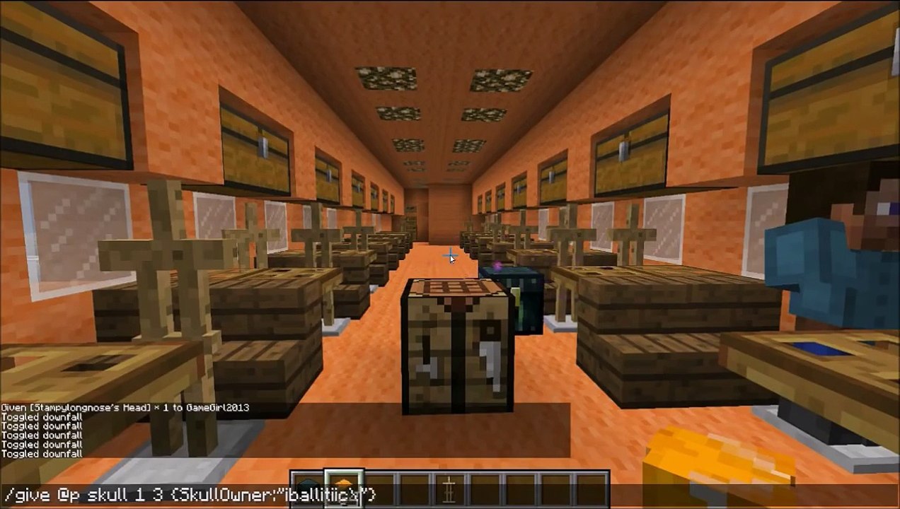 Minecraft- My Stampy Cat Airplane (Timelapse and Tour)