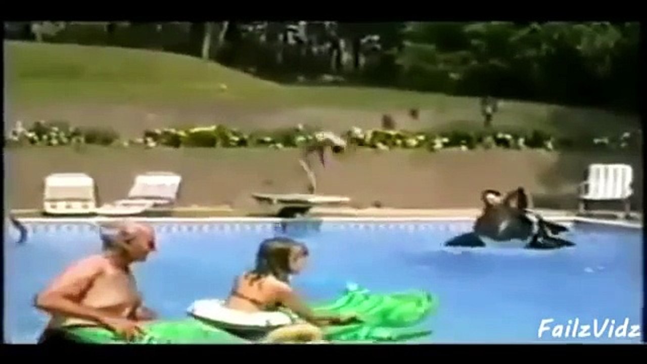 9 Minuten zum Totlachen ! Lustige Videos !