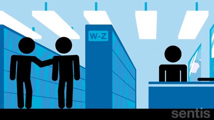 Limitations of the brain