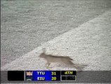 Rabbit on the Field EIU ftball v TTech 91711.f4v