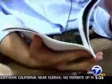 ABC 7 Report on the Hands-Free Law