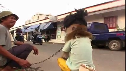 Jakarta Monkey Tour, Topeng Monyet, Part Three