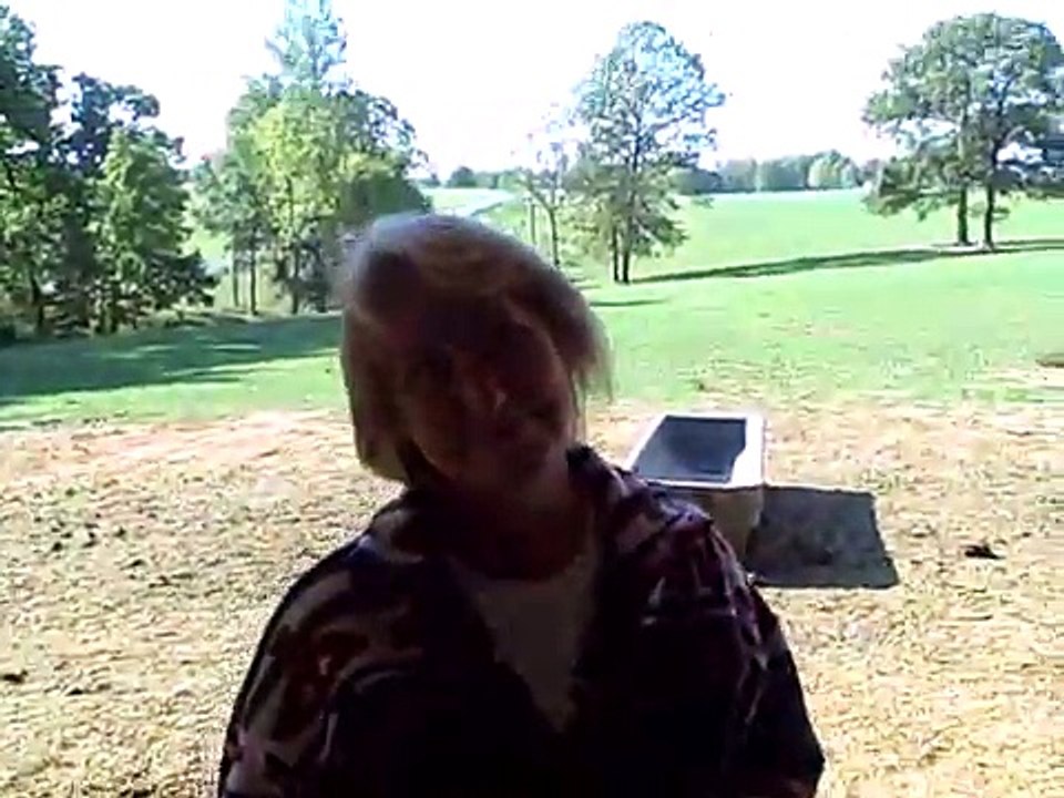 Elite Embryo Transfer weanings Kendall Farms Kentucky