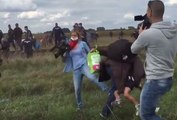 Captan a reportera húngara pateando a refugiados