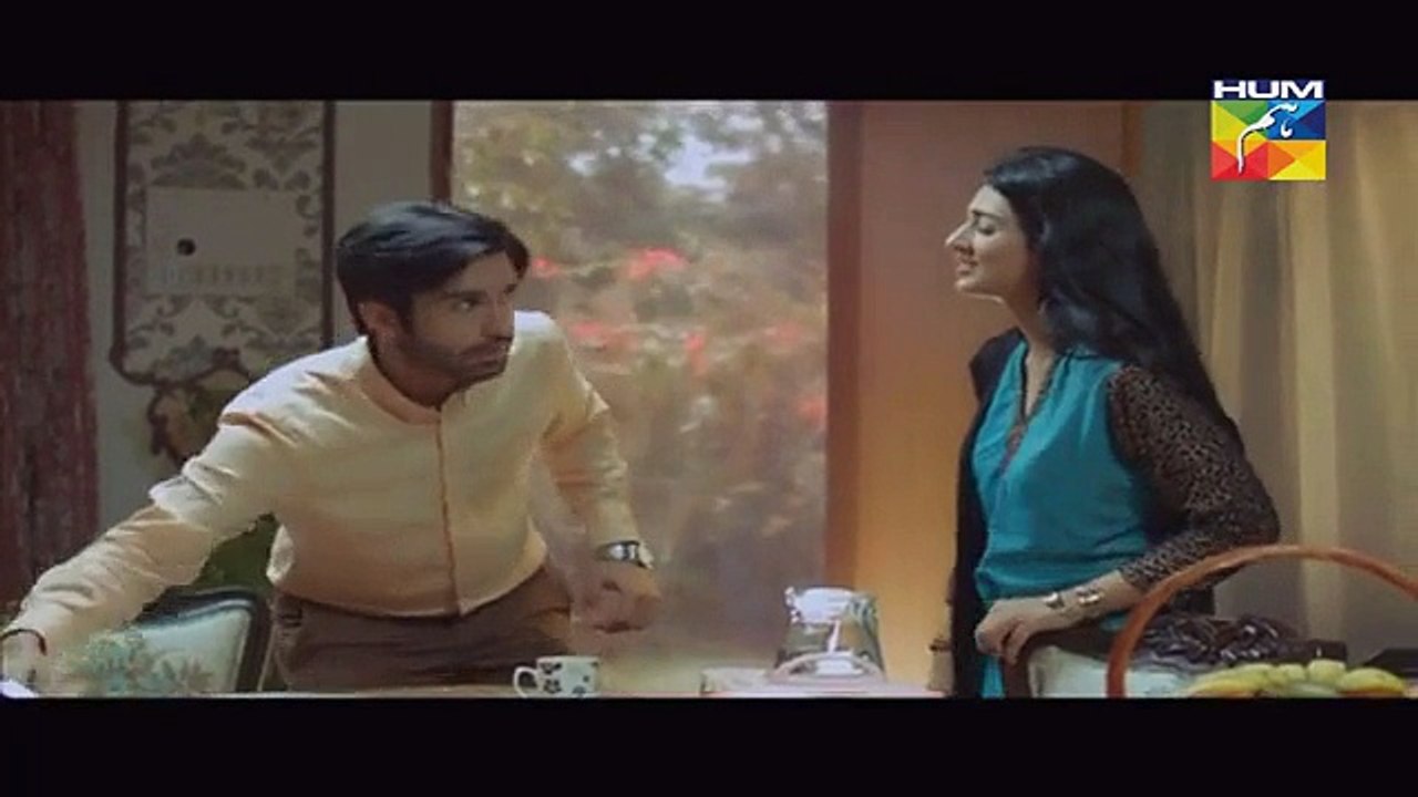 Mohabbat Aag Si Episode 15 on Hum Tv 9th September 2015