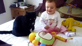 爆笑 婴儿和猫咪 宝宝和小猫 搞笑