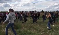 Hungarian journalist, kicked refugees__gazetarja hungareze, shkelmoi refugjatët