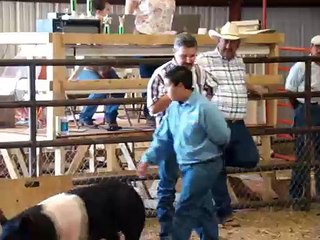 Pig Judging - Taos County Fair 2008