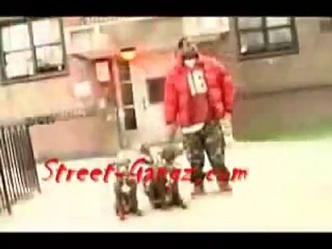 Bloods piru damu BLOOD WALK