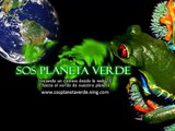 Salida Ecologica LAGUNAS DE SIECHA El tesoro de los Muiscas - Campaña por nuestros Páramos