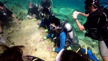 Discover Scuba Diving in Cyprus