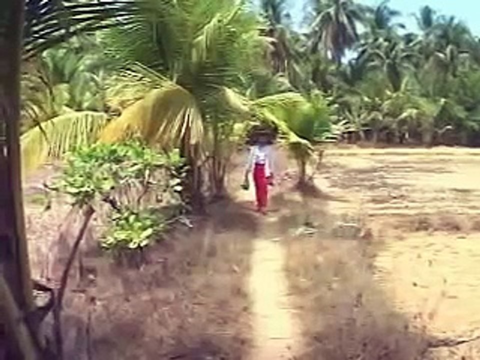 Myanmar Midwives