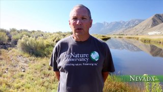 The Nature Conservancy Says Thanks!