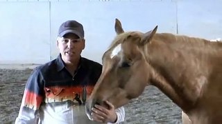 How to teach your horse to pick up a hat; Rick Gore Horsemanship; www.thinklikeahorse.org