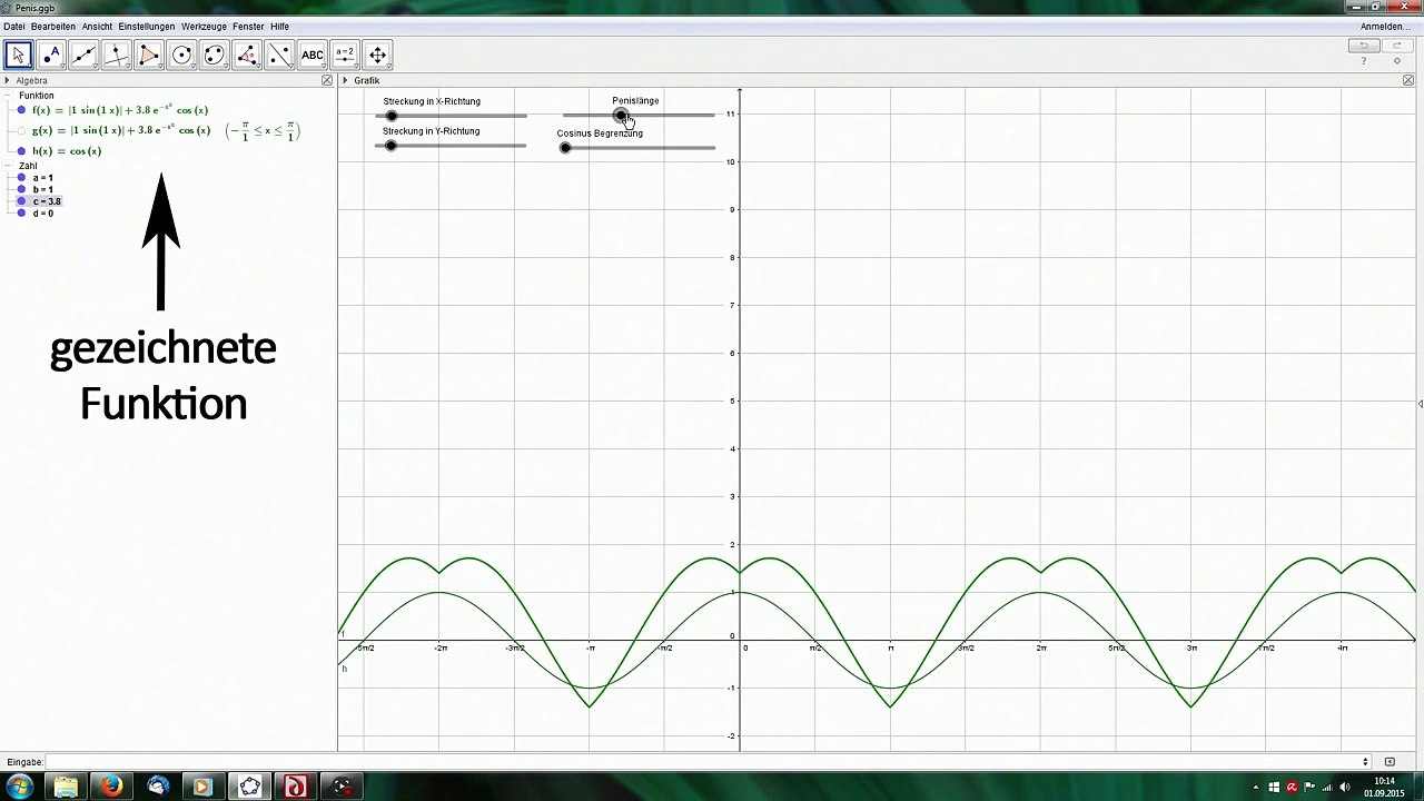Die Penisfunktion | Wir zeichnen einen Penis | deutsch / german | 1080p