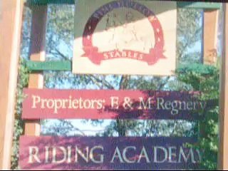 Saddle Club Horse Shy