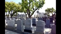 The Three Stooges: Gravesites of Curly and Shemp