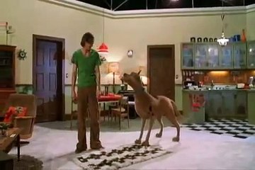 Scooby-Doo - Rülps-Furz Wettbewerb