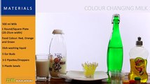 Color Changing Milk : Science Experiments for Kids