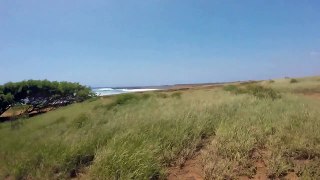 Off Roading to the Green Sand Beach. South Point. Big Island, Hawaii