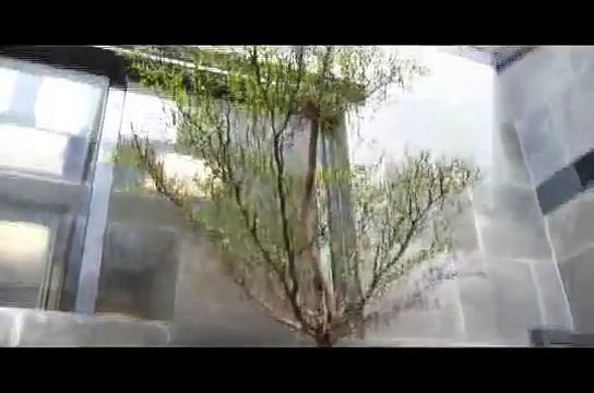 Interview Jeremie Urbain, dir. general des Laboratoires SERB