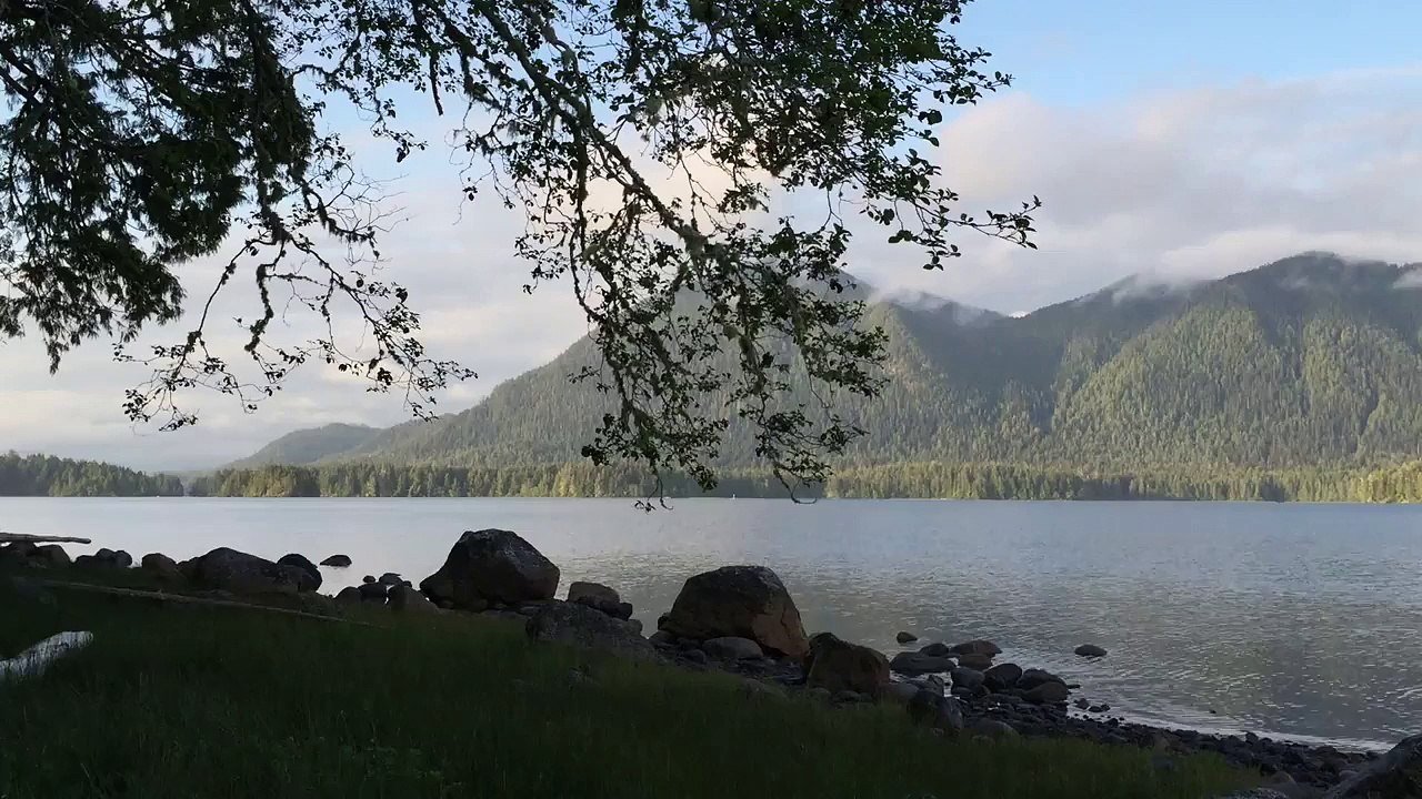 Tofino BC Canada. No Whales No comments, just beautiful nature and peaceful silence. Канада жизнь