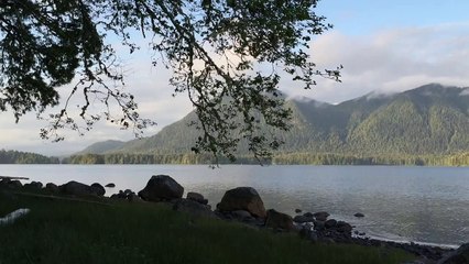 Tofino BC Canada. No Whales No comments, just beautiful nature and peaceful silence. Канада жизнь