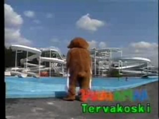 Puuhamaa-Nalle