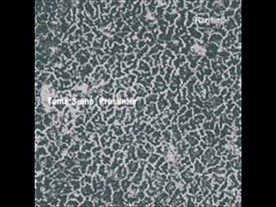 Tama Sumo & Prosumer - Rarified (The Oliverwho Factory Remix)