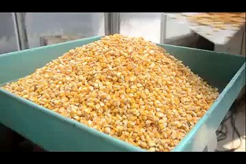 Corn Flour Mill With Diesel