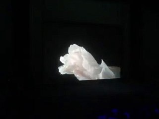 Apple présente deux nouveaux modèles d'iPhone