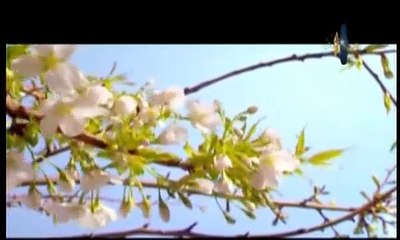 أسماء الله الحسني - إنشاد مشاري راشد العفاسي