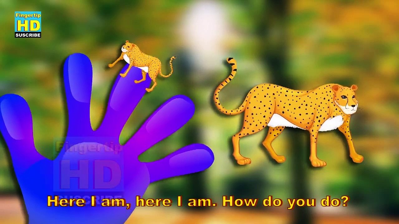 Collection of Animals Songs, Childrens Finger Family Cartoon Nursery Rhymes