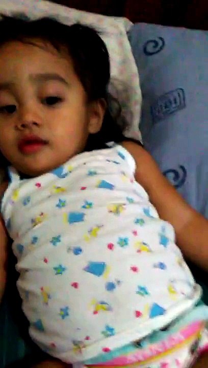 animal sounds by bryelle