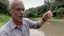 How Easy It Is to Catch Piranhas  River Monsters