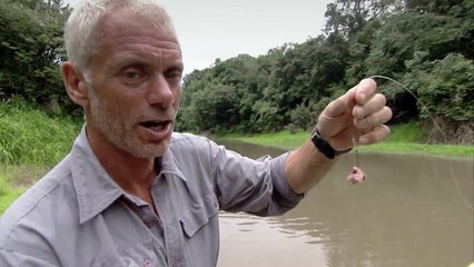 How Easy It Is to Catch Piranhas  River Monsters