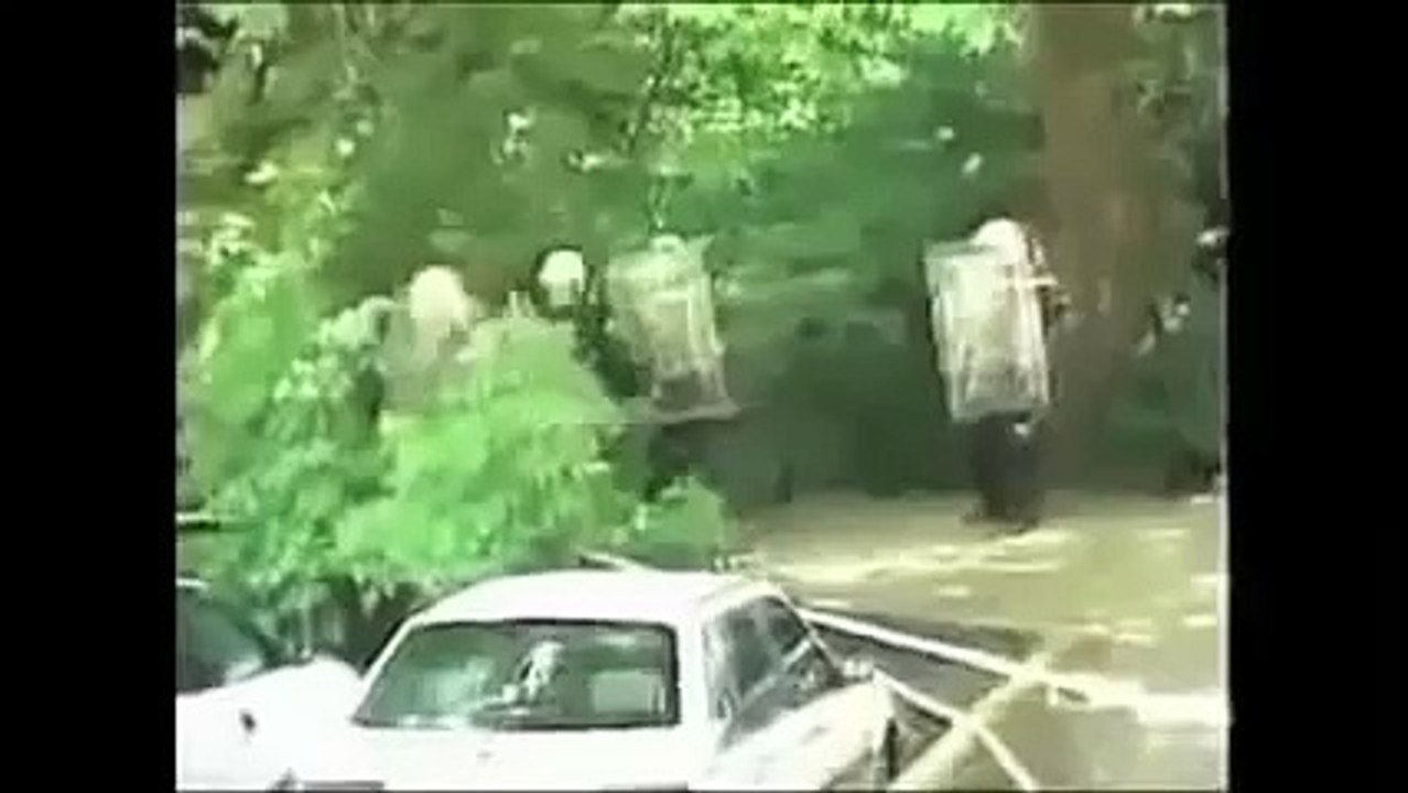 THE DESTRUCTION OF SWEDEN