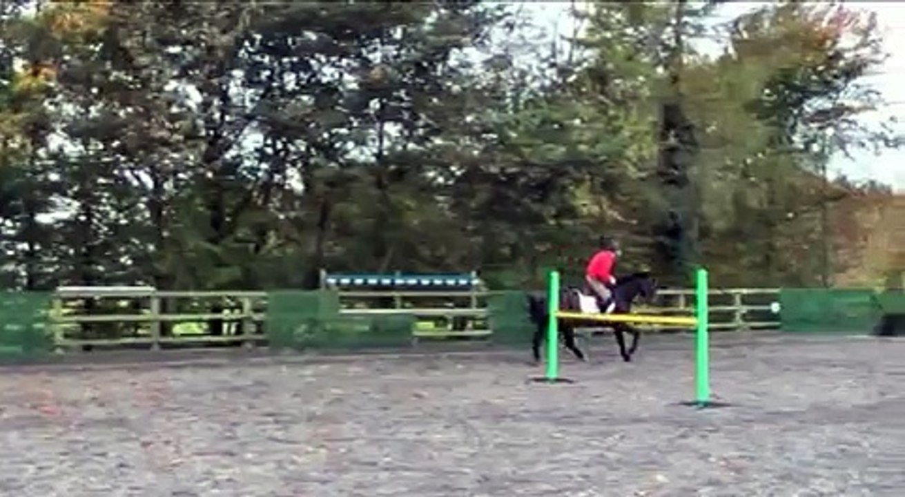 Eventer, Harry Meade, on jumping to improve the canter (TRAILER)