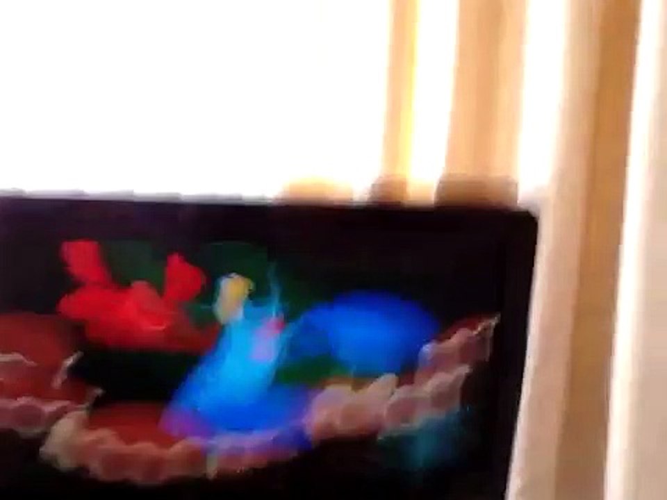 The little mermade under the sea