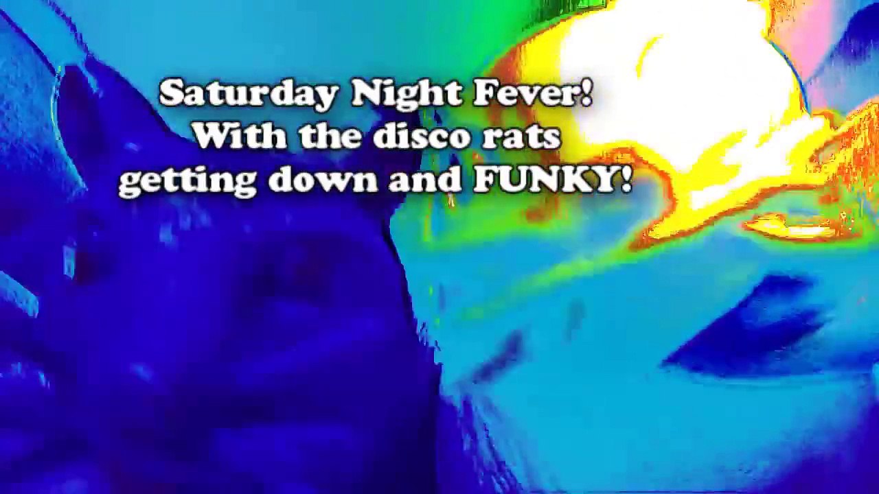 Littlest Pet Shop_ LPSlover 4,000 Subscribers DELETED SCENES & BLOOPERS