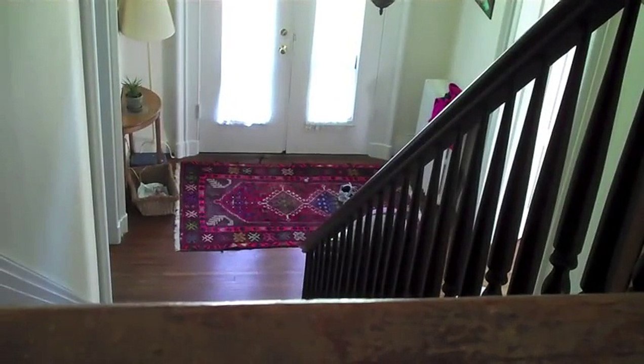 LPS Bloopers [FUNNY!]