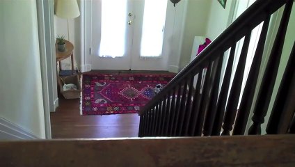 LPS Bloopers [FUNNY!]