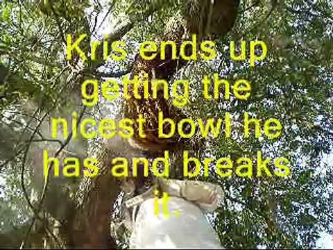 Honey bee hive removal from a branch 20ft high