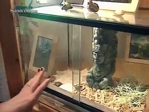 Luegen der NPD - Schmutzige Manipulation Nazis Doku 2015 HD