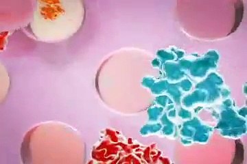 Wyeth Factor IX & Recombinant DNA technology - 3D medical animation