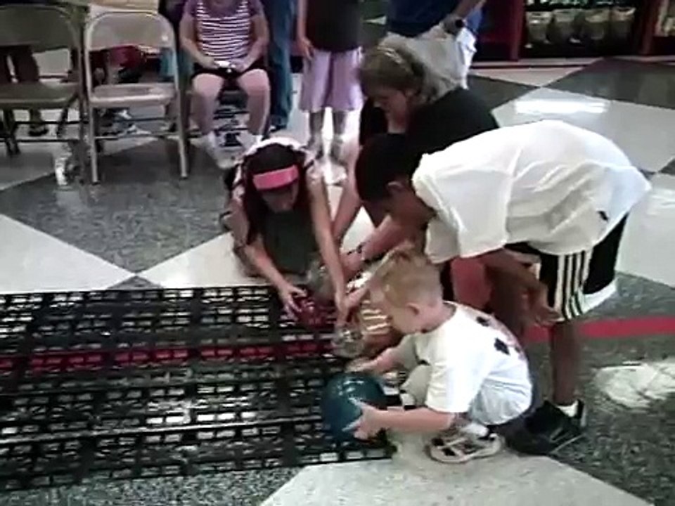 Rattoo Winning Petco Hamster Race