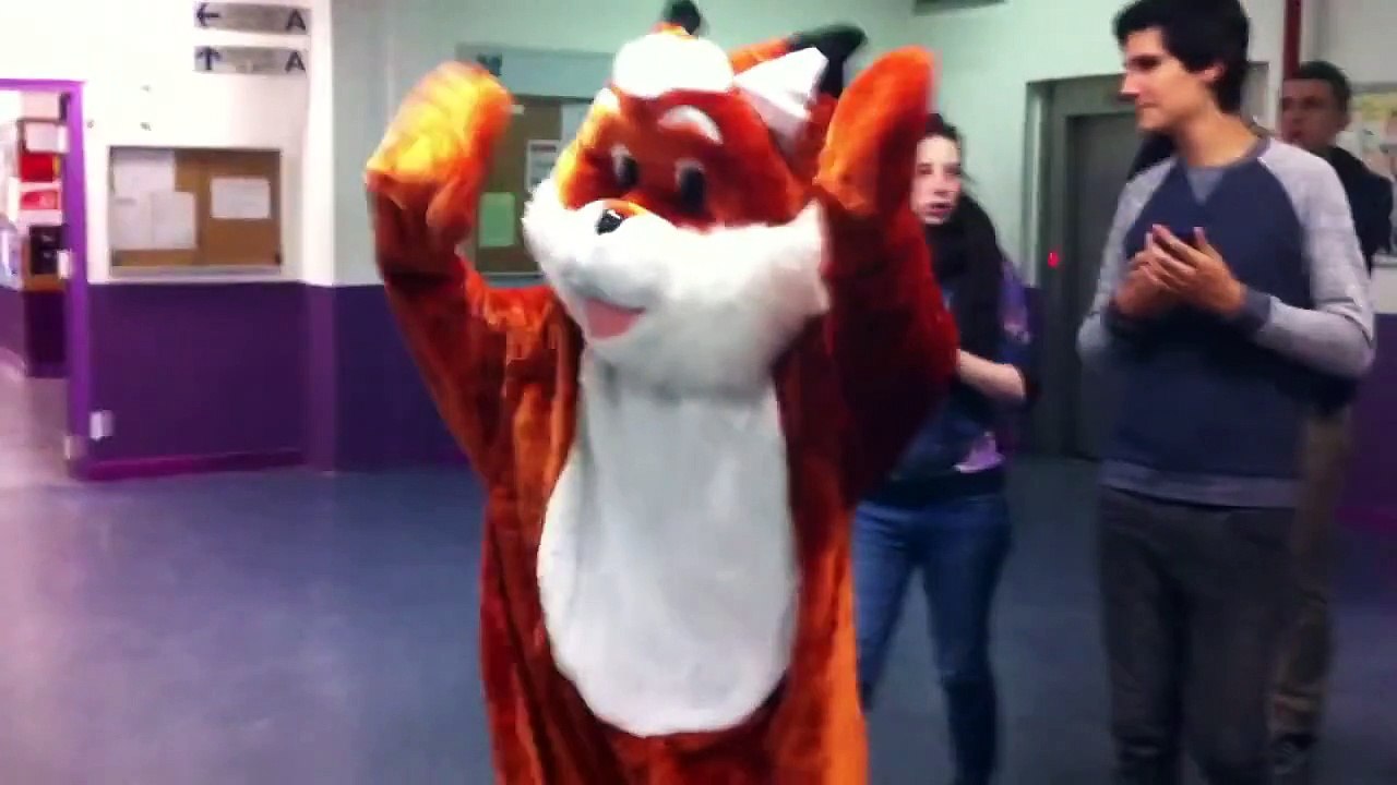 BDE WELL'COM - Un renard à Paris 8