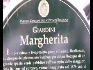 Neve a Bologna 1 febbraio 2012 - Giardini Margherita ore 10:30 -