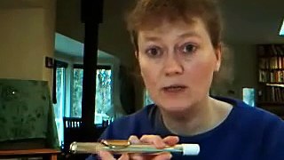 Teaching Flute to the Remedial Band Student /Novice