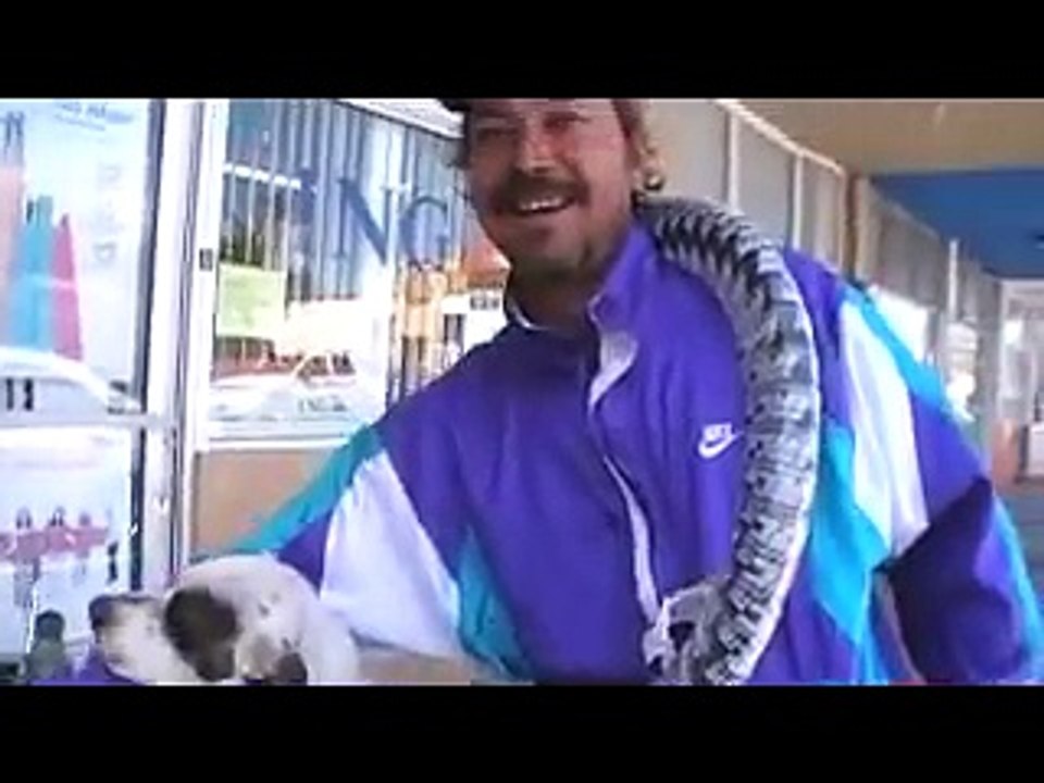 Viaja con su perro en moto